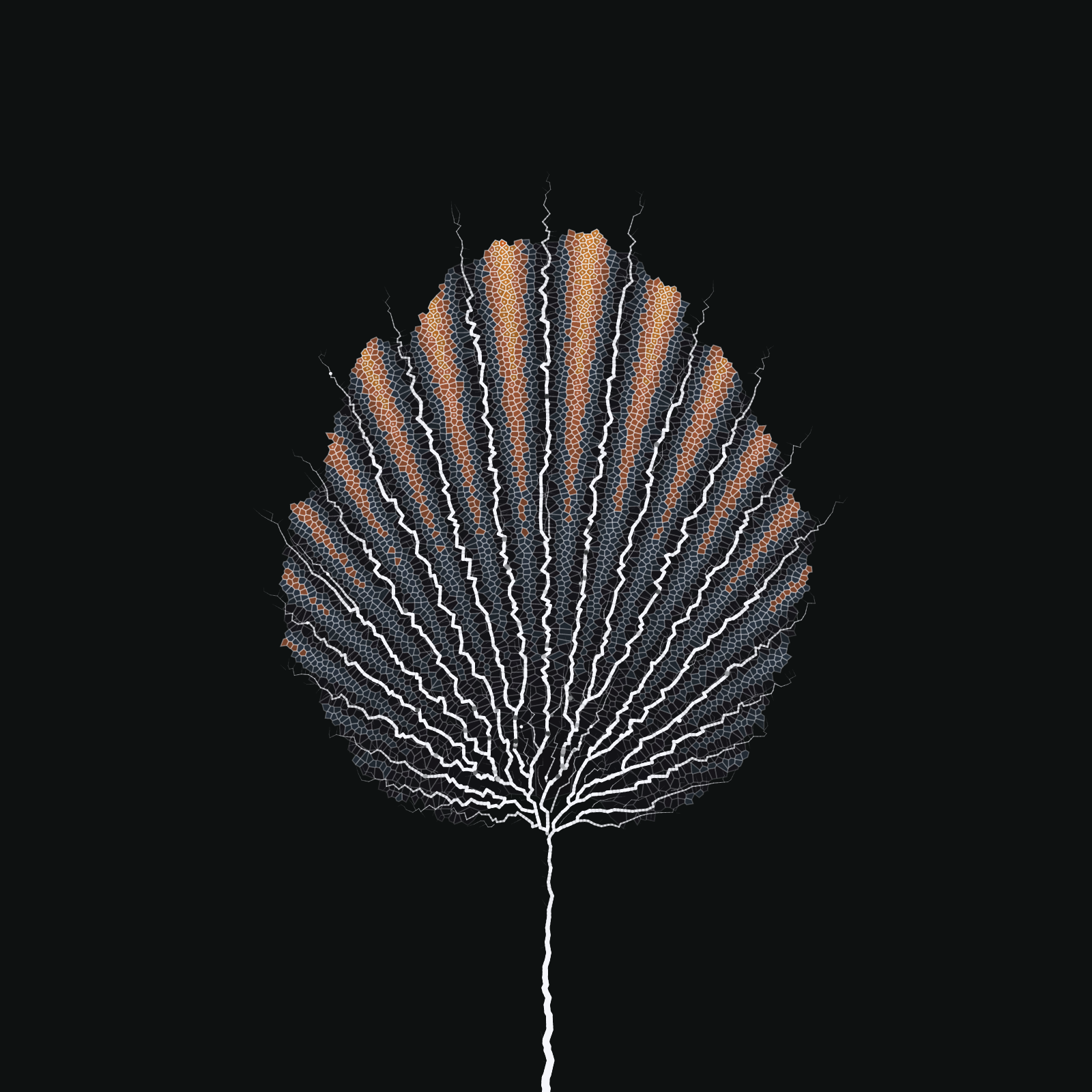 Leaf study #13 static token preview