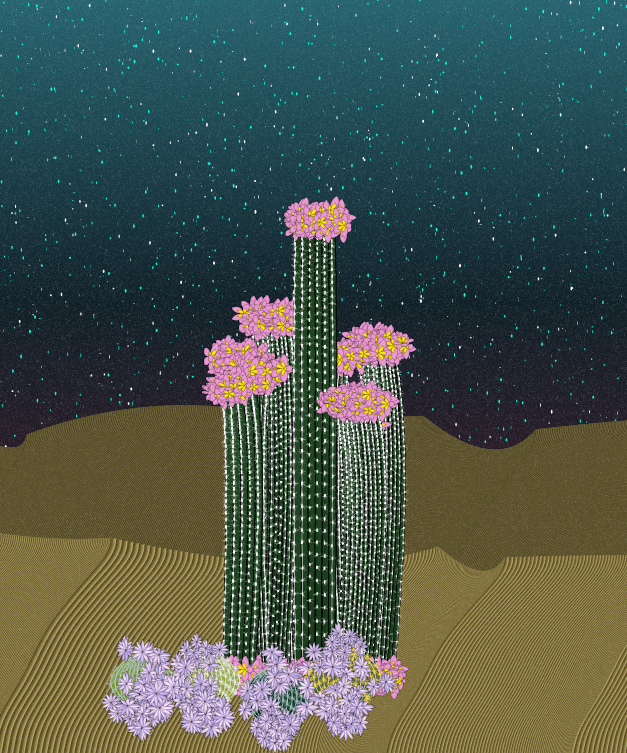 Cactigen #22 static token preview