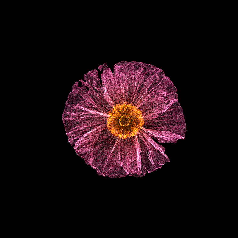 White Poppy 30 #172 static token preview