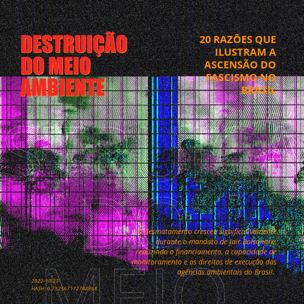 B4D - Brazil4Democracy #17 static token preview