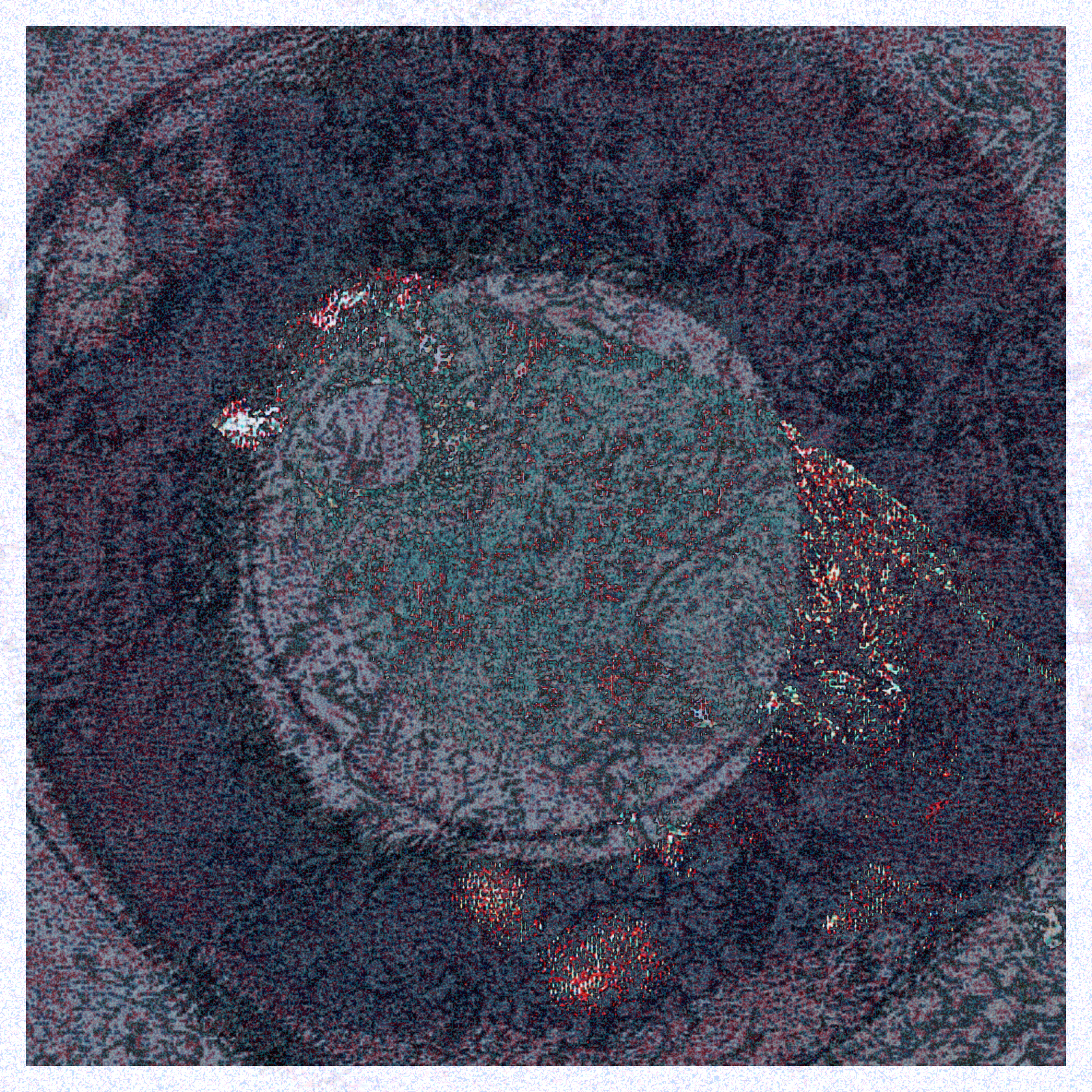 TETRACHROMA #4 static token preview