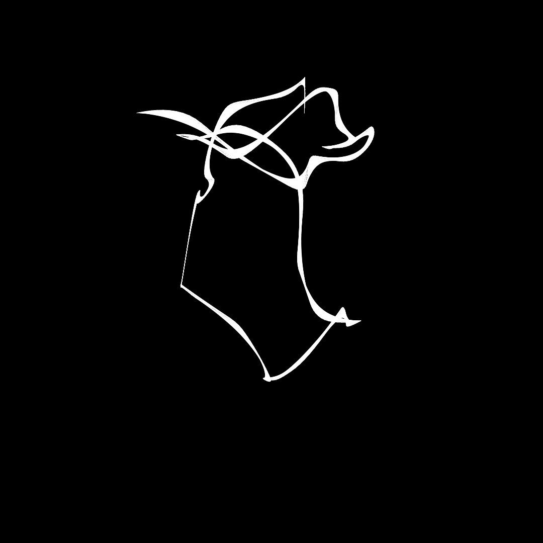What do you see? #19 static token preview