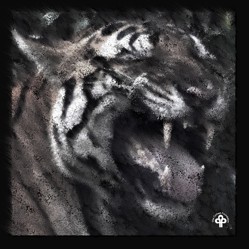 (re)generative tigers #24 static token preview