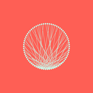 Morphing Networks project preview