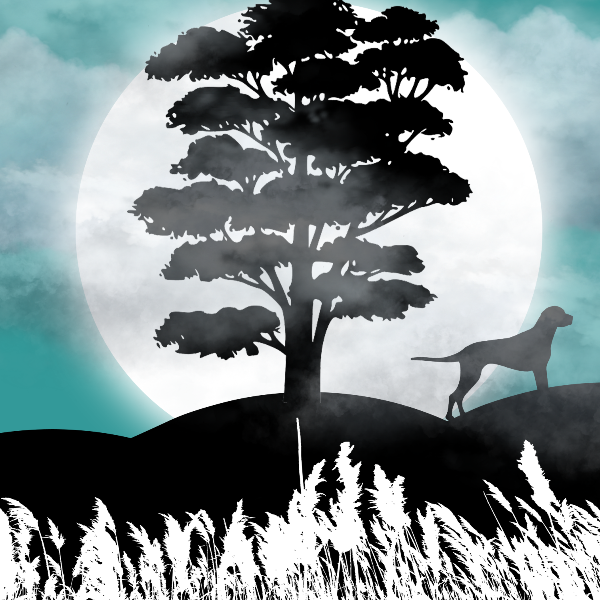 Moon and Life #22 static token preview