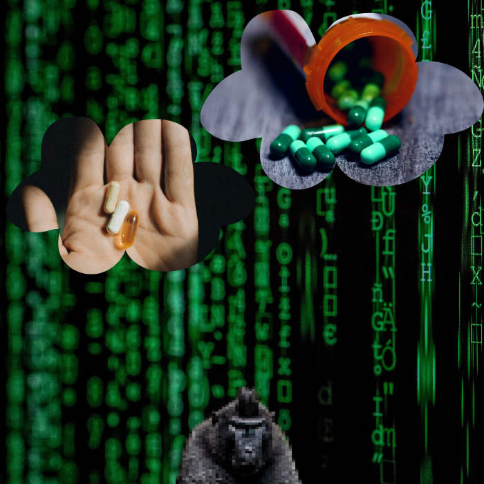Anxious monkeys #15 static token preview