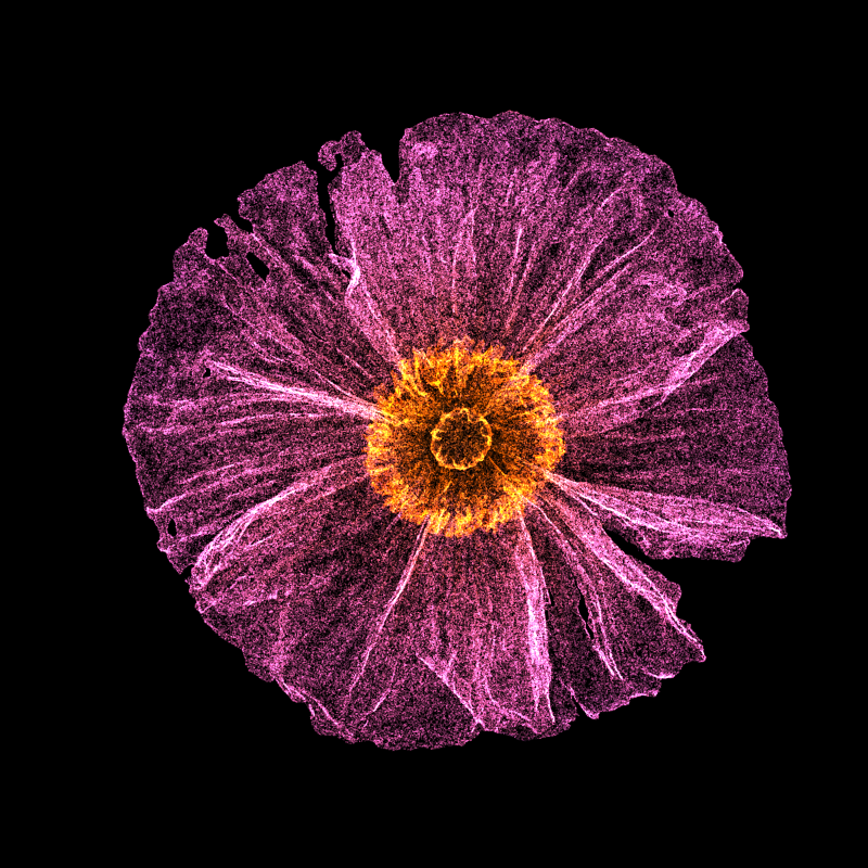 White Poppy 30 #14 static token preview