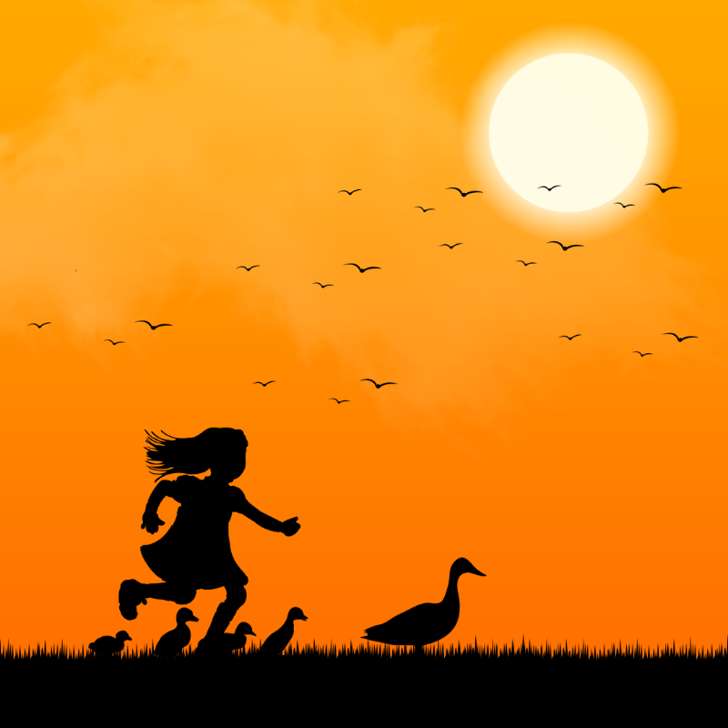 We Care...Duck #1 static token preview