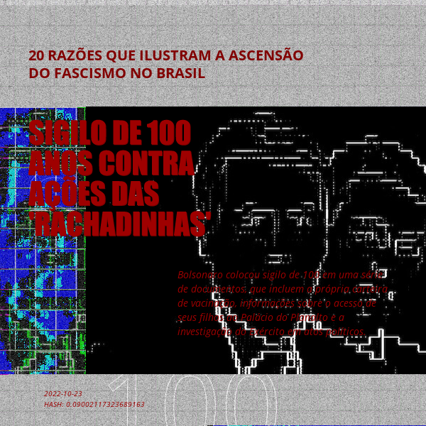 B4D - Brazil4Democracy #5 static token preview