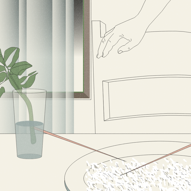 Still Life #6 #12 static token preview