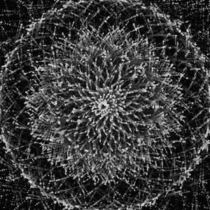 salt evolver project preview