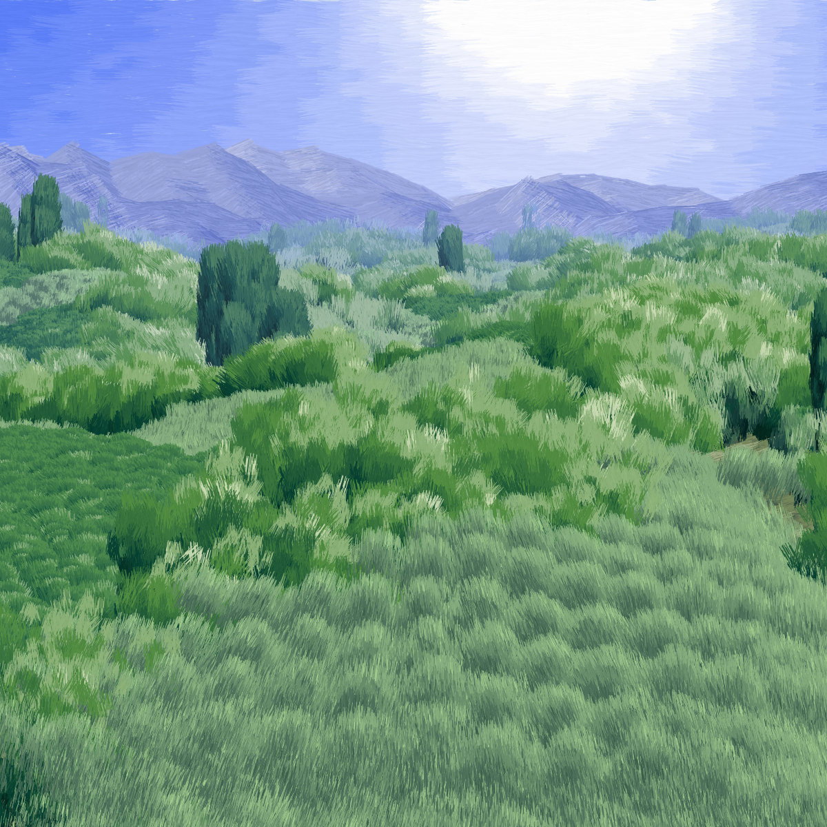 Provence #13 static token preview
