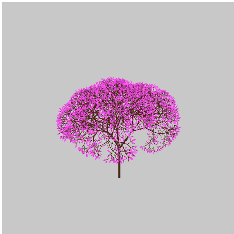 CandyTree #10 static token preview