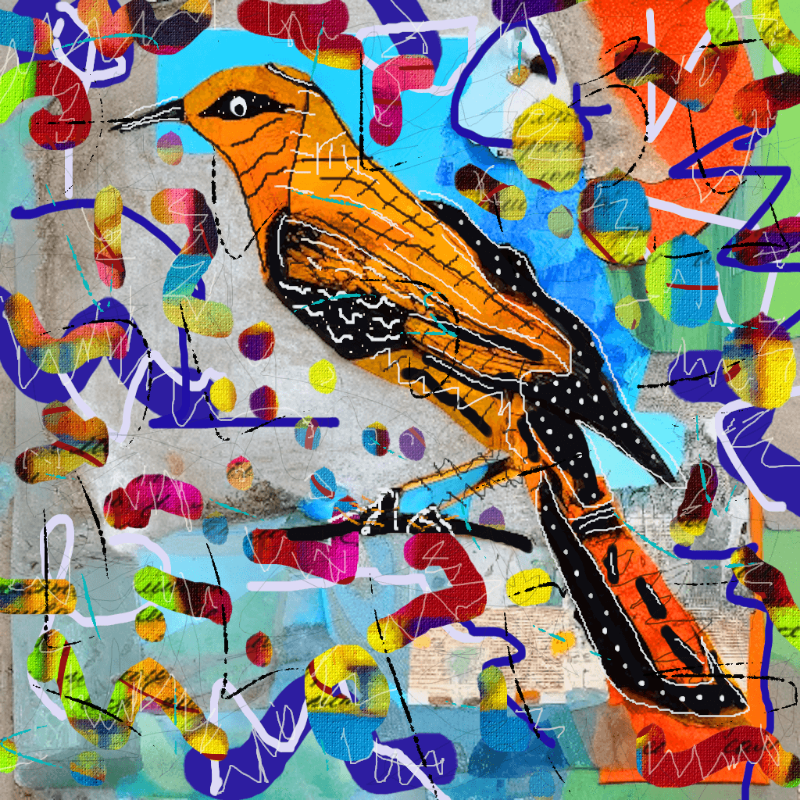 Birdies Vol. 2 #4 static token preview