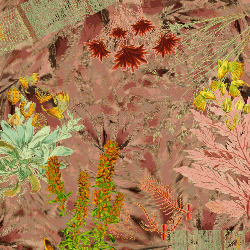 future flora from Antarctica's past #15 static token preview