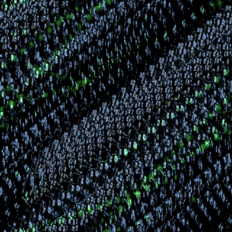 Drip 9c - from the 'Score-2022' sketches. #14 static token preview