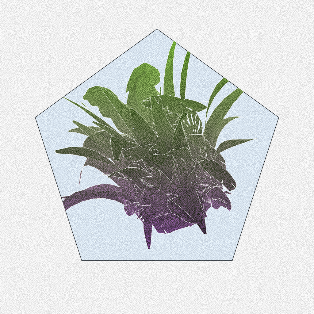 Botany #1 static token preview