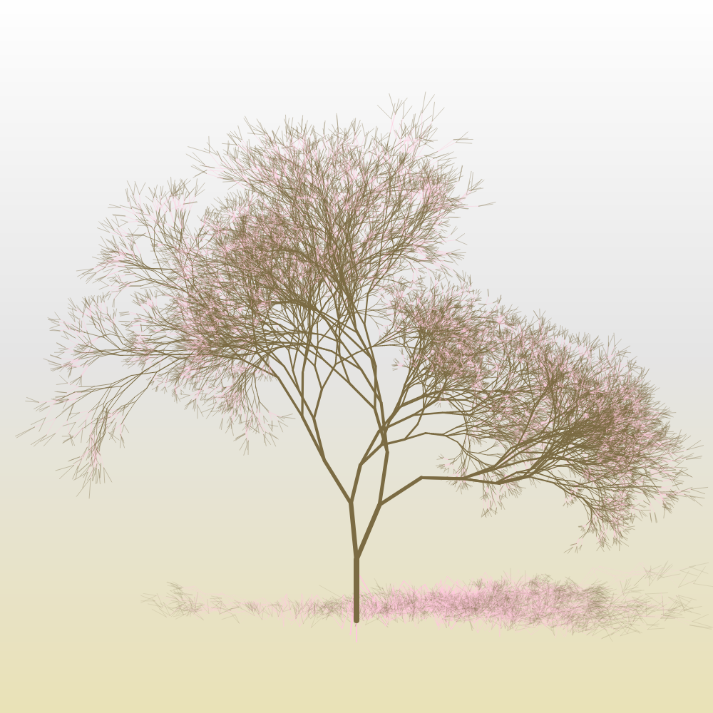 Hanami #22 static token preview