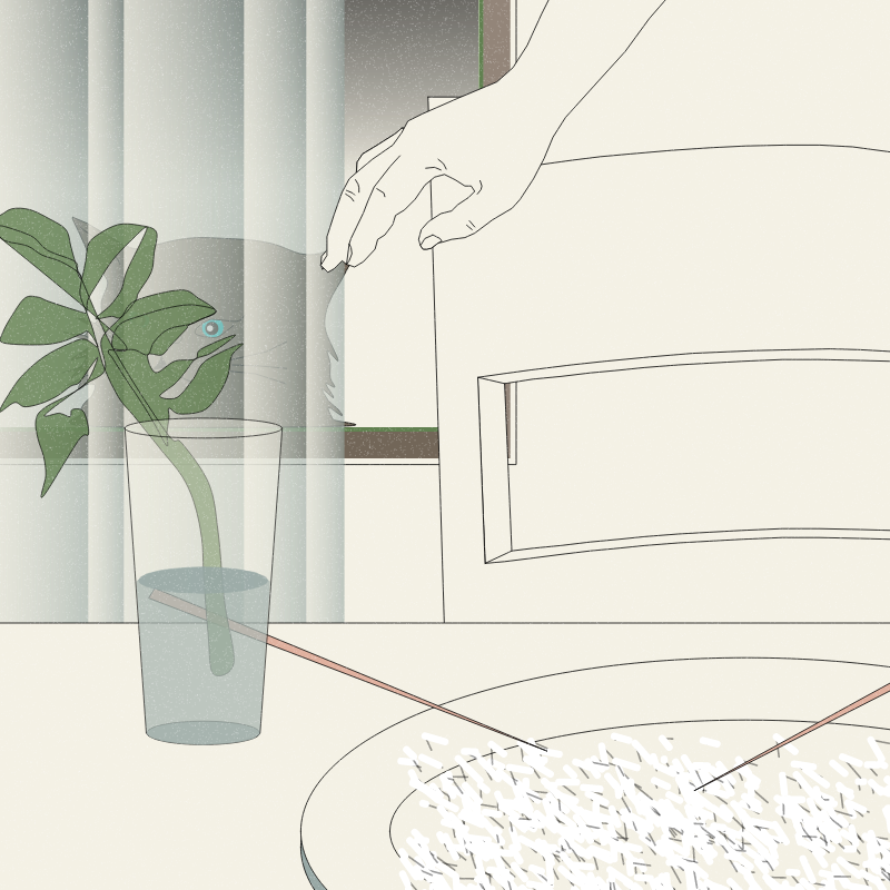 Still Life #6 #17 static token preview
