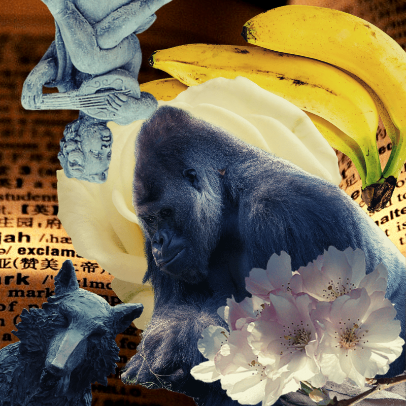 Banana flower #13 static token preview