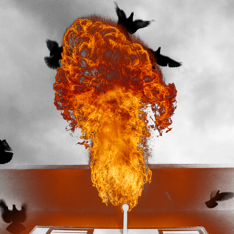 Free to burn #12 static token preview