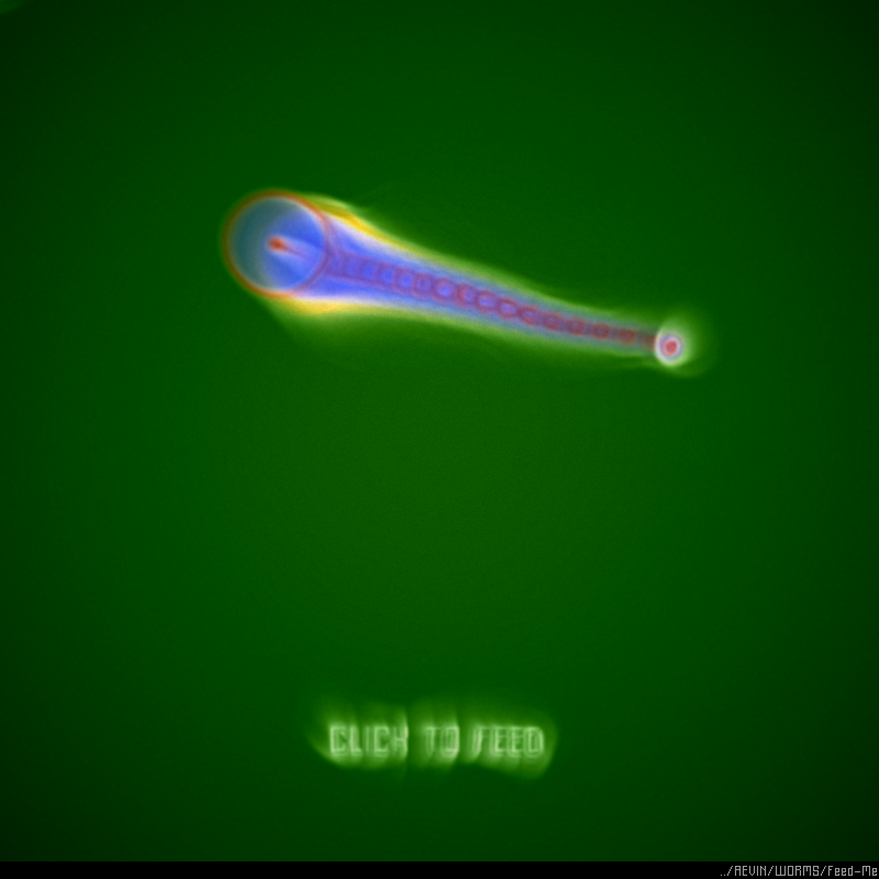 WORMS / Feed Me #11 static token preview