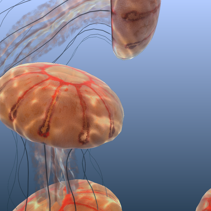 Jellyfish #22 static token preview