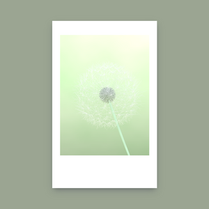 Ode to Summer project preview
