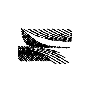 Negro project preview