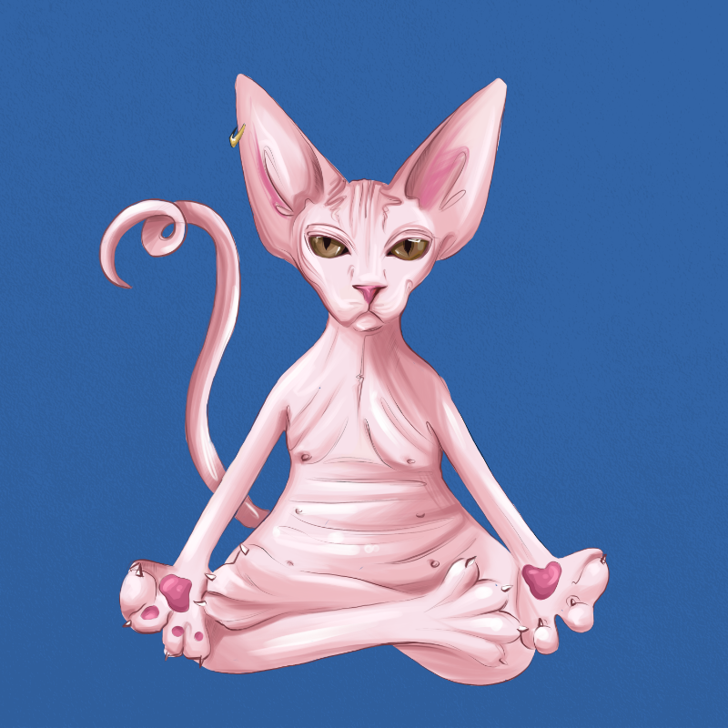 YogaCat #1 static token preview