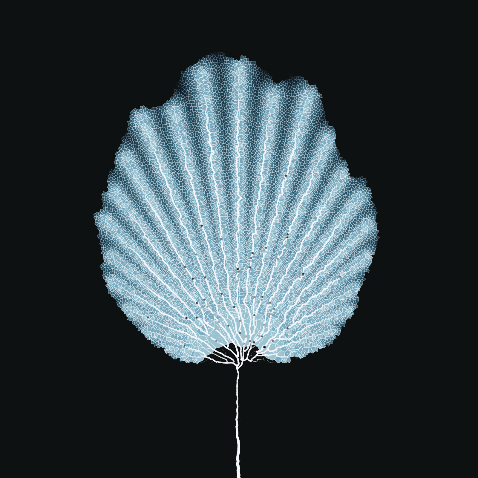 Leaf study #9 static token preview