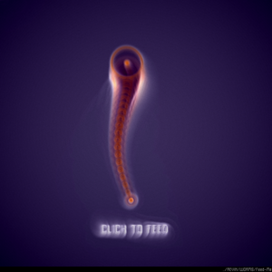 WORMS / Feed Me project preview