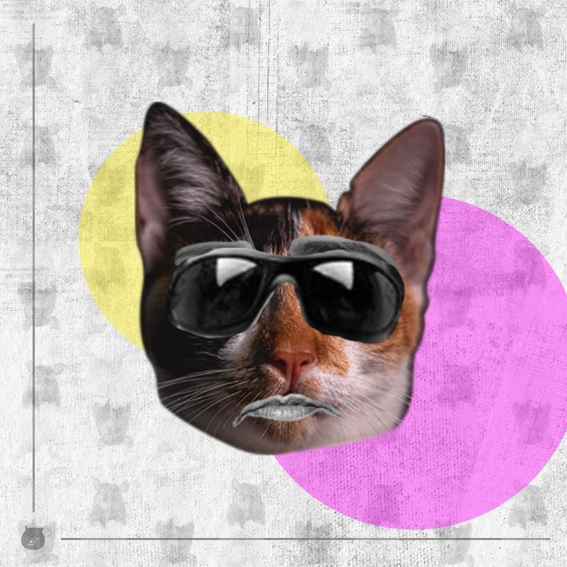 Kittenstein #6 static token preview