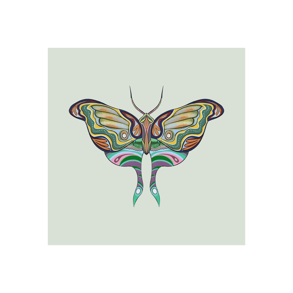 The Moth Experiment #25 static token preview
