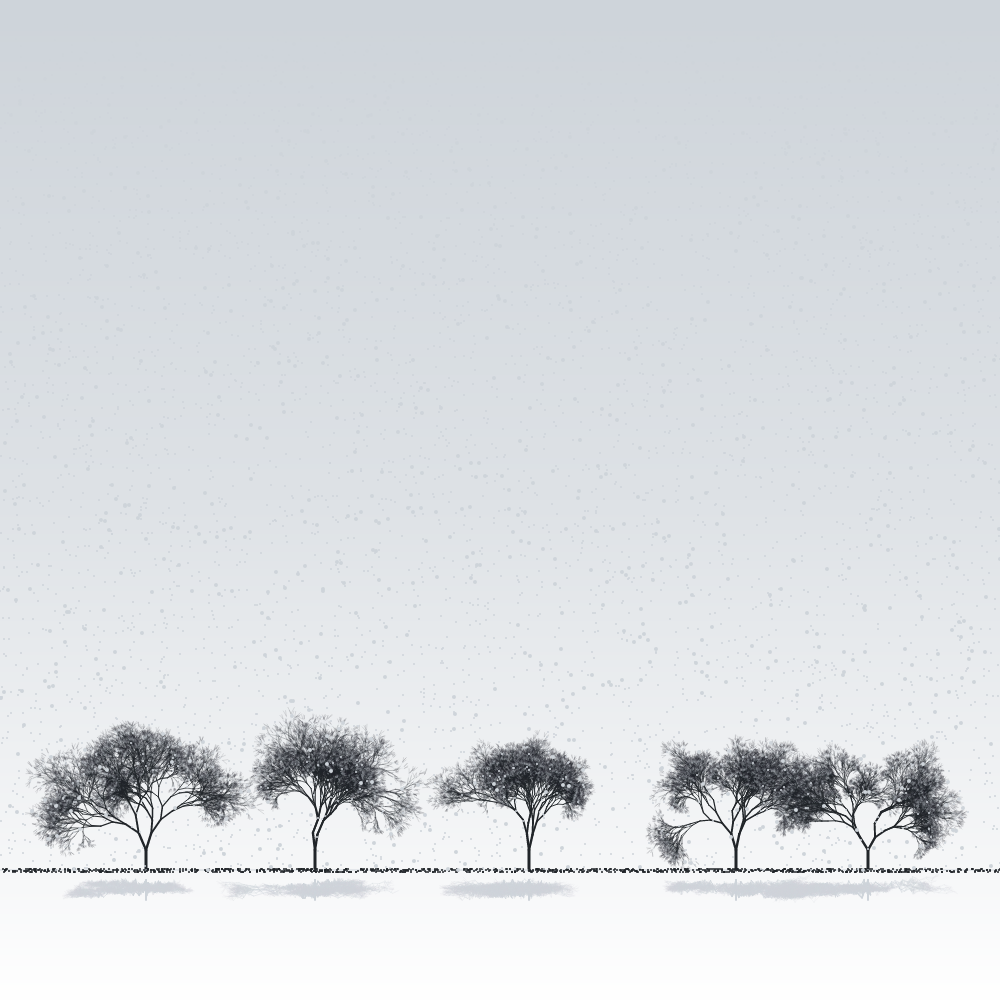 Sakuras in the snow #1 static token preview