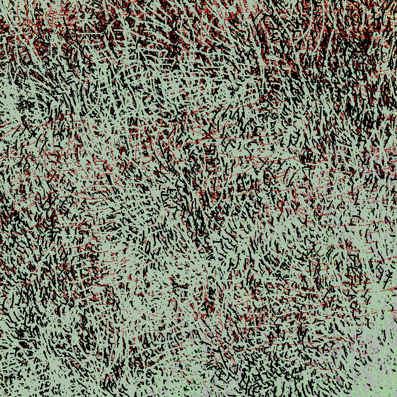 a bird worked on my painting #11 static token preview