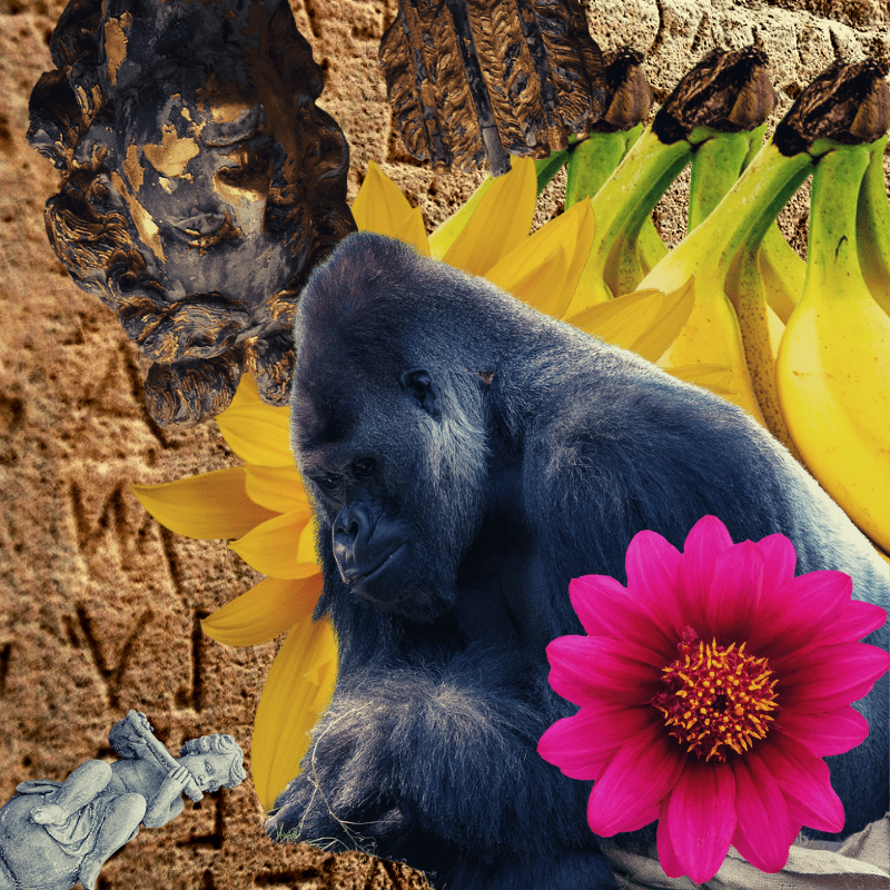 Banana flower #3 static token preview
