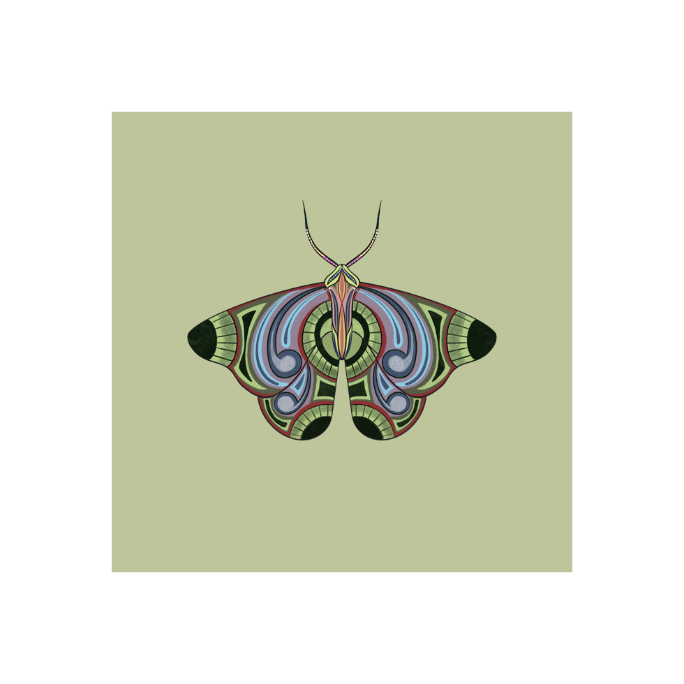 The Moth Experiment #36 static token preview