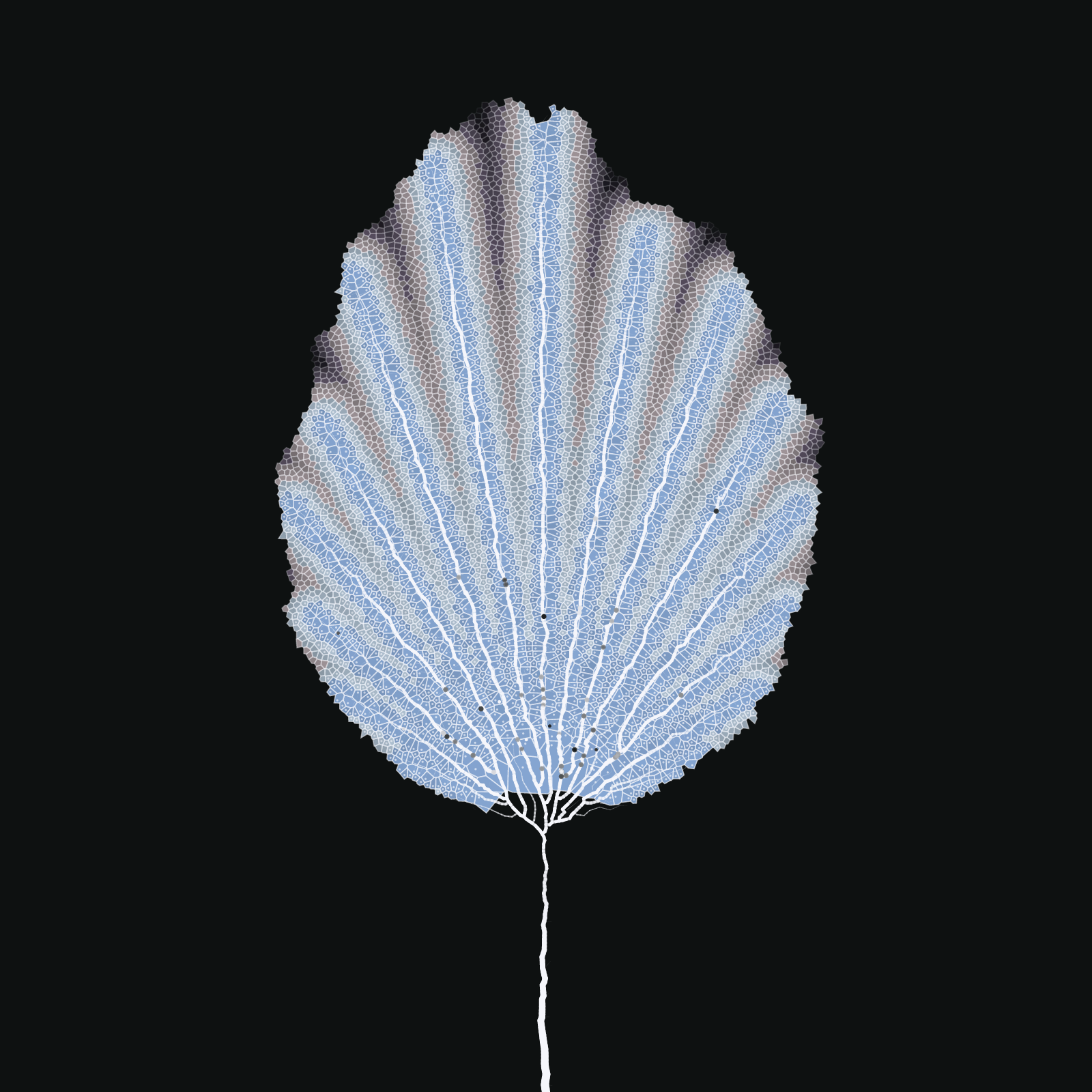 Leaf study #24 static token preview
