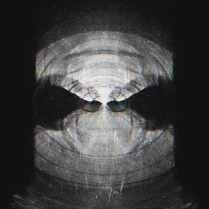 Eikonal identities project preview