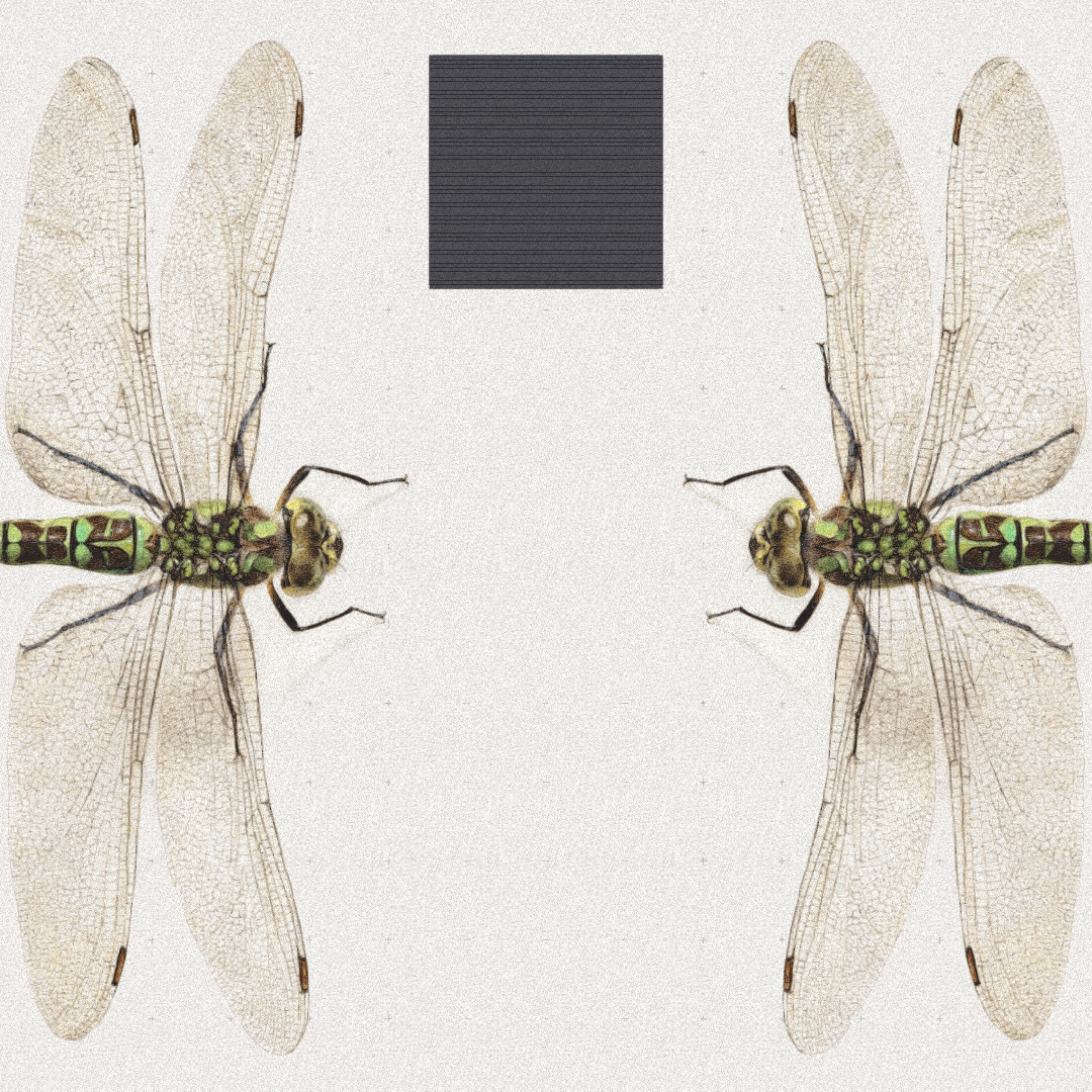 Dragonfly #3 static token preview