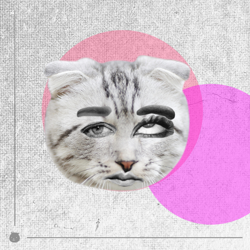 Kittenstein #11 static token preview