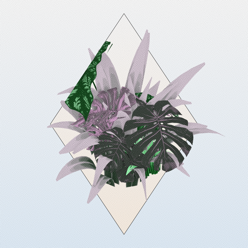 Botany #13 static token preview