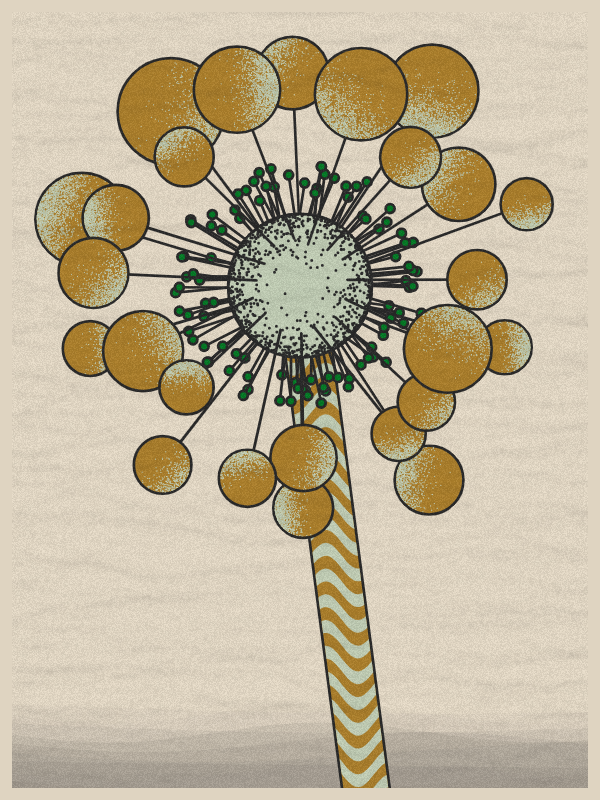 Abstract Dandelion #8 static token preview
