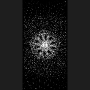 Photon Discipline project preview
