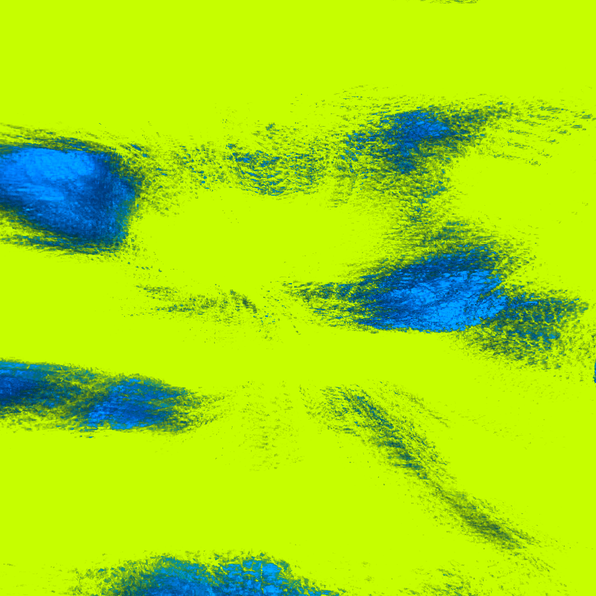 Fluxus | Collab with Rose Jackson #13 static token preview