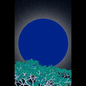 Moonlight Sonata project preview