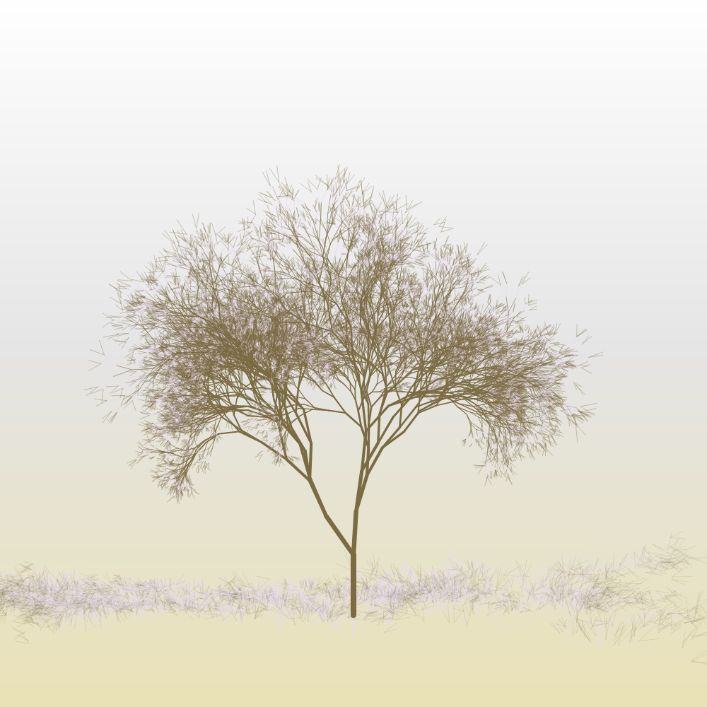 Hanami #10 static token preview