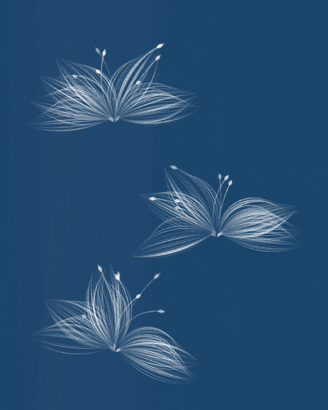 Cyanotypes #12 static token preview