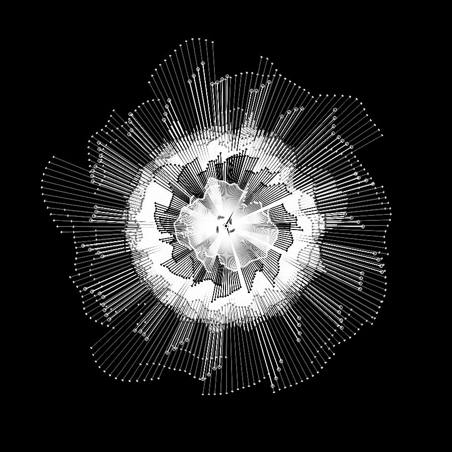 Camellia #24 static token preview